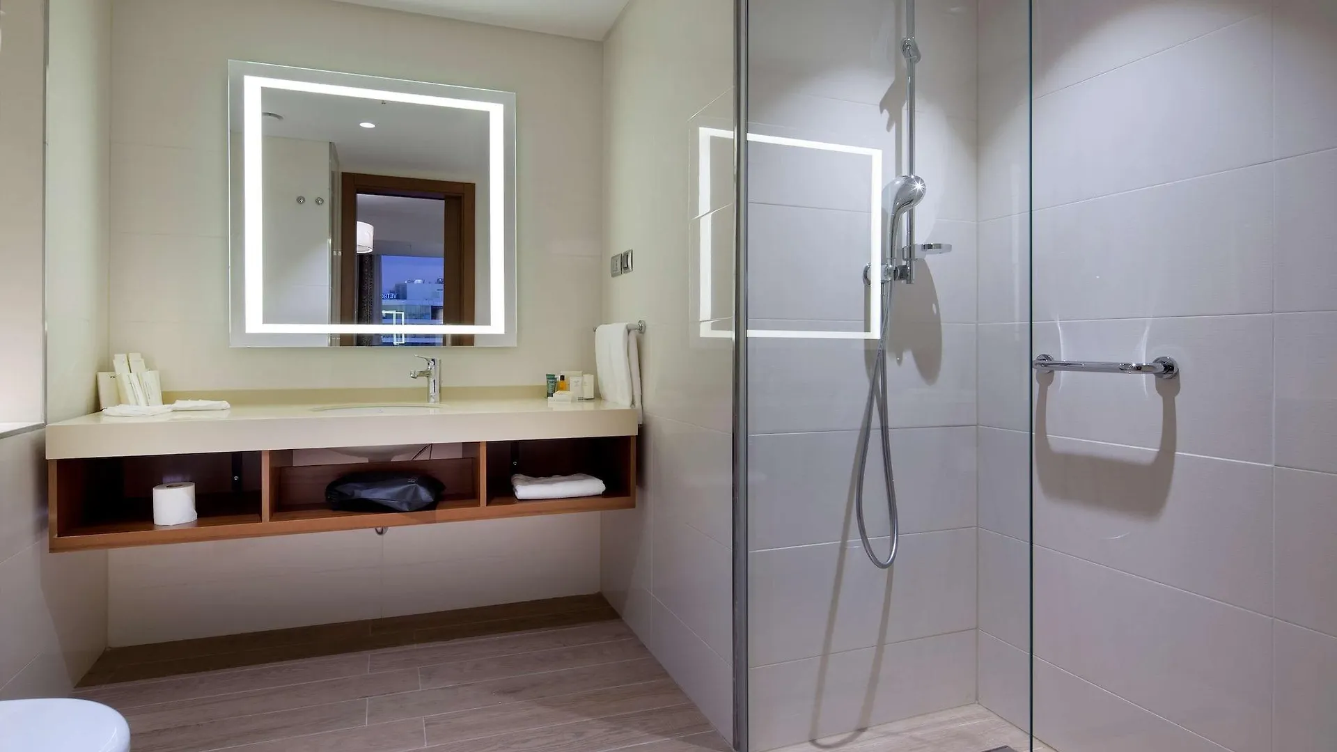 Hotel Hilton Garden Inn Istanbul Beylikduzu